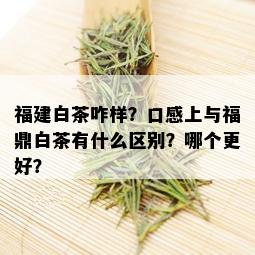 福建白茶咋样？口感上与福鼎白茶有什么区别？哪个更好？