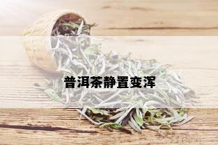 普洱茶静置变浑