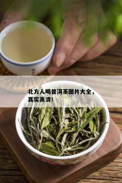 北方人喝普洱茶图片大全，真实高清！