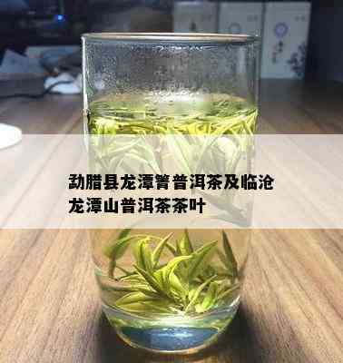 勐腊县龙潭箐普洱茶及临沧龙潭山普洱茶茶叶