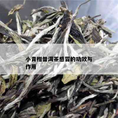 小青柑普洱茶感冒的功效与作用