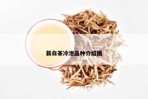 新白茶冷泡品种介绍图