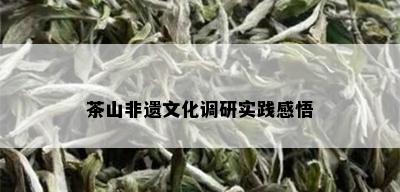 茶山非遗文化调研实践感悟