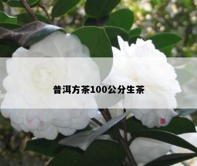 普洱方茶100公分生茶