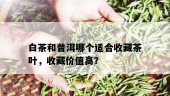 白茶和普洱哪个适合收藏茶叶，收藏价值高？