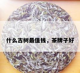 什么古树最值钱，茶牌子好