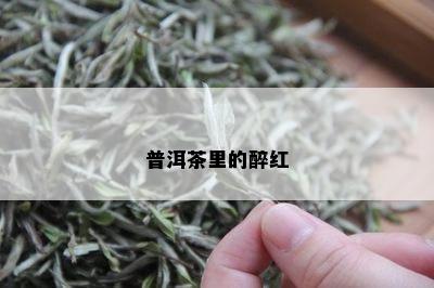 普洱茶里的醉红