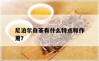 尼泊尔白茶有什么特点和作用？