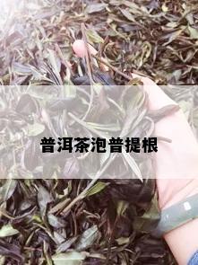 普洱茶泡普提根