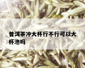 普洱茶冲大杯行不行可以大杯泡吗