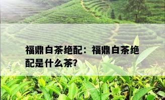 福鼎白茶绝配：福鼎白茶绝配是什么茶？