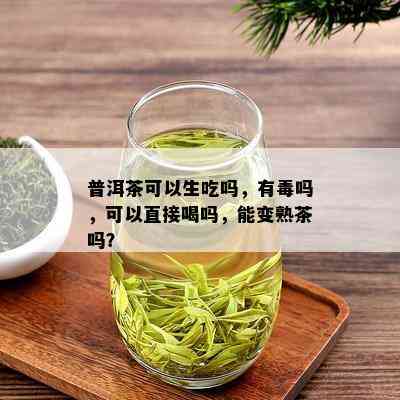 普洱茶可以生吃吗，有吗，可以直接喝吗，能变熟茶吗？