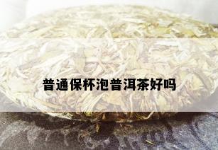 普通保杯泡普洱茶好吗