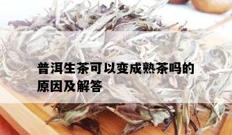 普洱生茶可以变成熟茶吗的原因及解答