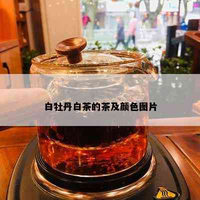 白牡丹白茶的茶及颜色图片