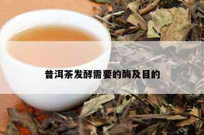 普洱茶发酵需要的酶及目的