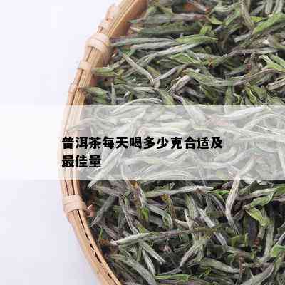 普洱茶每天喝多少克合适及更佳量