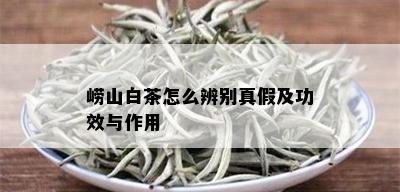 崂山白茶怎么辨别真假及功效与作用