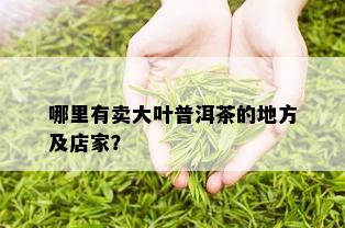 哪里有卖大叶普洱茶的地方及店家？