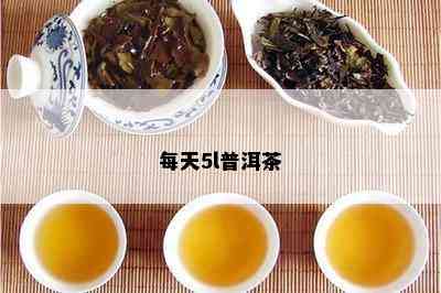 每天5l普洱茶