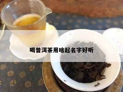 喝普洱茶用啥起名字好听