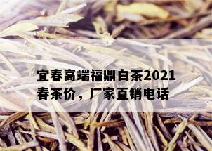 宜春高端福鼎白茶2021春茶价，厂家直销电话