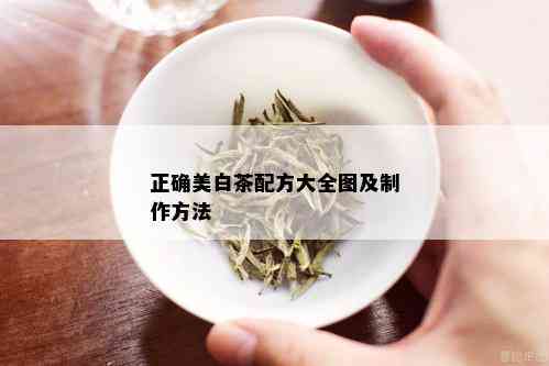 正确美白茶配方大全图及制作方法