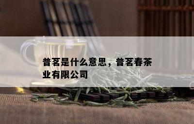 普茗是什么意思，普茗春茶业有限公司