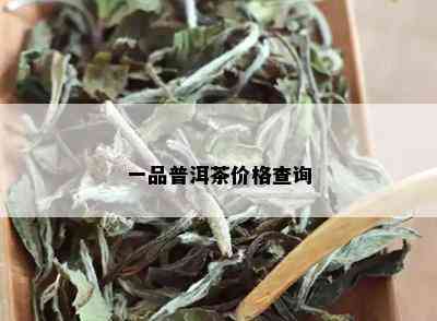 一品普洱茶价格查询