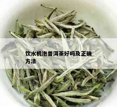 饮水机泡普洱茶好吗及正确方法