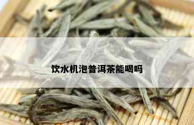 饮水机泡普洱茶能喝吗