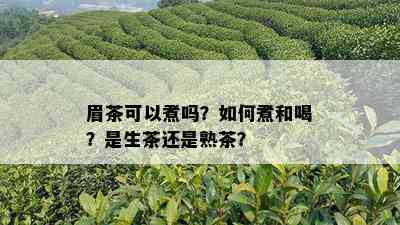 眉茶可以煮吗？如何煮和喝？是生茶还是熟茶？