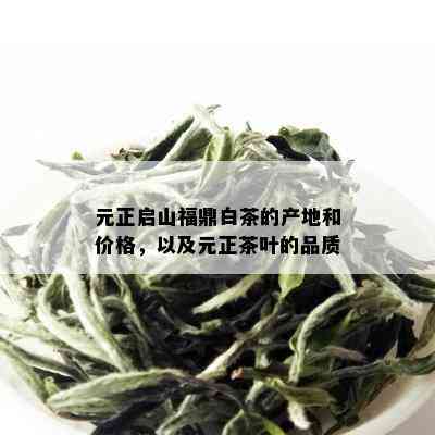 元正启山福鼎白茶的产地和价格，以及元正茶叶的品质