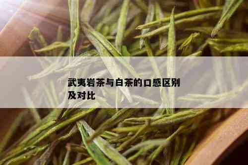 武夷岩茶与白茶的口感区别及对比