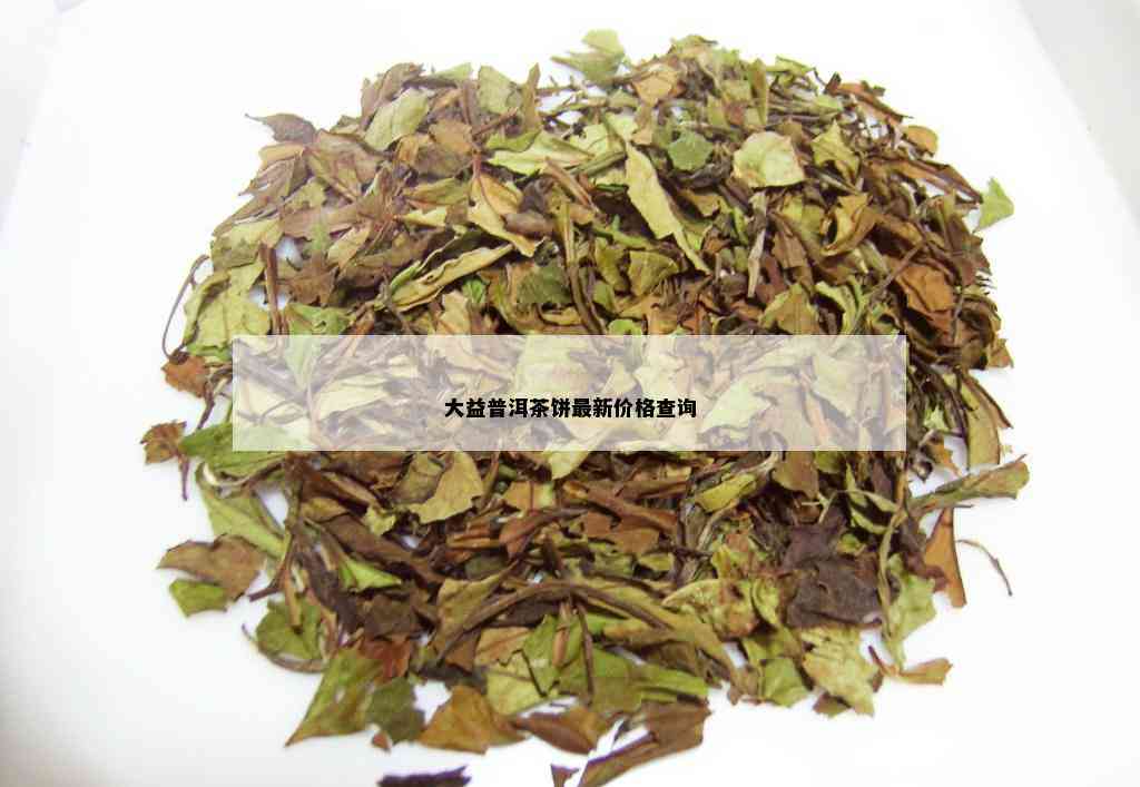 大益普洱茶饼最新价格查询