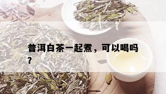 普洱白茶一起煮，可以喝吗？