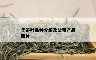 华茶叶品种介绍及公司产品图片