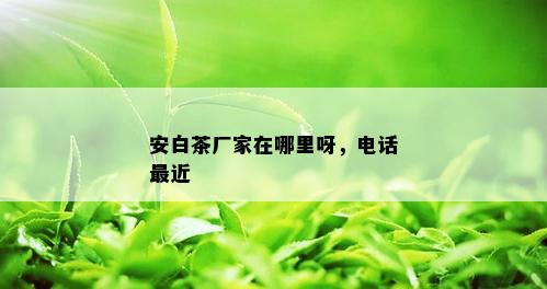 安白茶厂家在哪里呀，电话最近