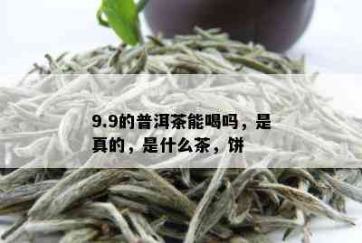 9.9的普洱茶能喝吗，是真的，是什么茶，饼