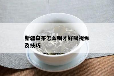 新疆白茶怎么喝才好喝视频及技巧