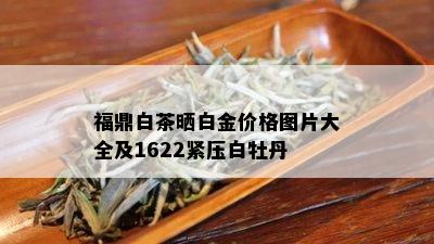 福鼎白茶晒白金价格图片大全及1622紧压白牡丹