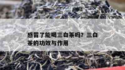 感冒了能喝三白茶吗？三白茶的功效与作用