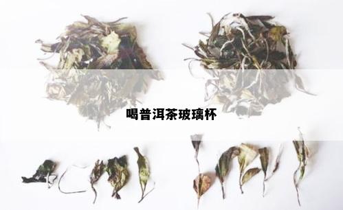 喝普洱茶玻璃杯