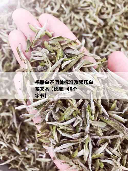 福鼎白茶团体标准及紧压白茶文本 (长度: 40个字节)