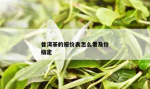 普洱茶的报价表怎么看及价格定