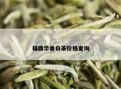 福鼎华香白茶价格查询