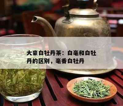 大豪白牡丹茶：白毫和白牡丹的区别，毫香白牡丹