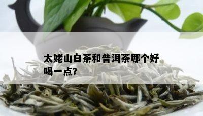 太姥山白茶和普洱茶哪个好喝一点？