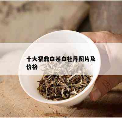 十大福鼎白茶白牡丹图片及价格