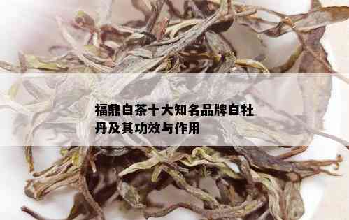 福鼎白茶十大知名品牌白牡丹及其功效与作用